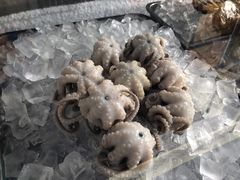 白灼章鱼-铭聚章鱼土笋冻(松柏店)