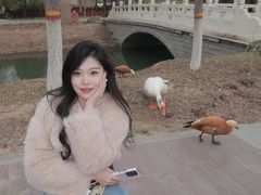 -河北省园博园