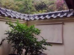 -江门古兜温泉小镇