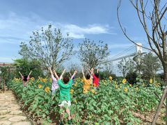 -武汉紫薇都市田园