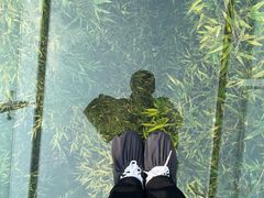 -陶祖圣境风景区