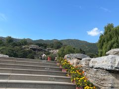 -北京西山国家森林公园