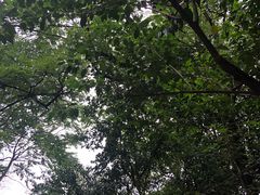 -紫金山索道-售票处