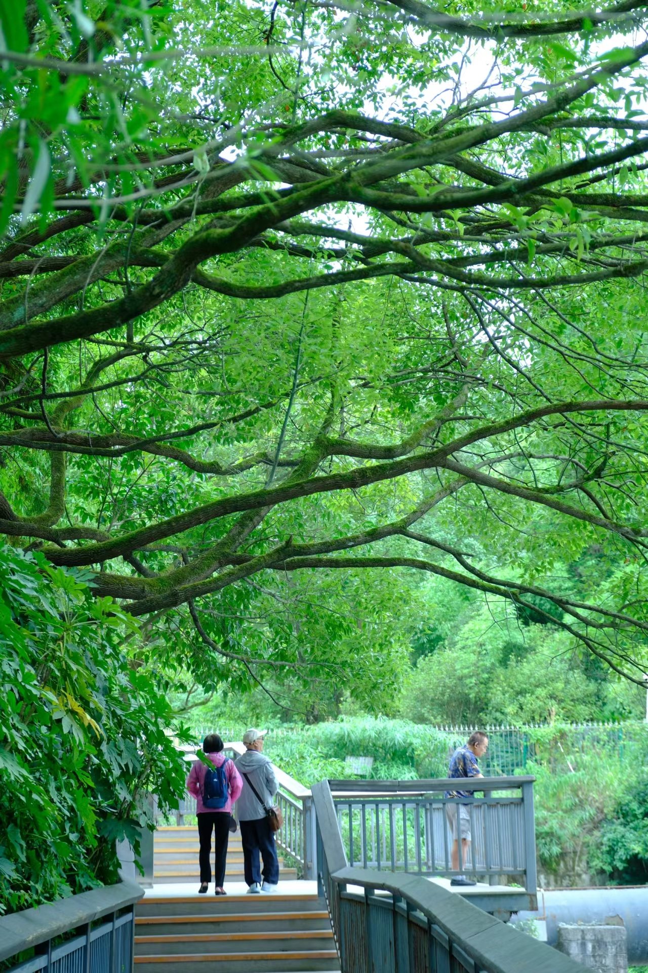 小车河湿地公园停车图片