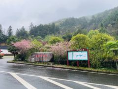 -百杖潭景区