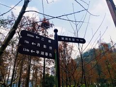 -重庆彩云湖湿地公园