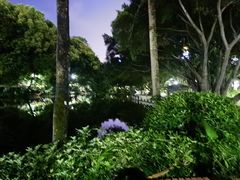 -人民公园(罗湖区)