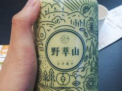 -野萃山·潮汕厚果汁(十亩地店)