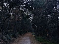 -虞山风景区
