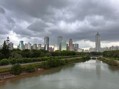 -万绿园