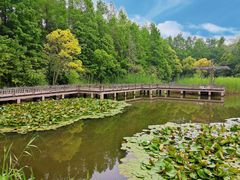 -上海吴淞炮台湾国家湿地公园