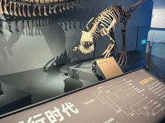 -四川大学博物馆