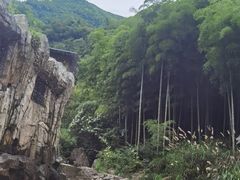 -将军关探险漂流