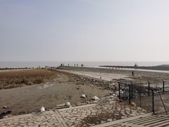 -南汇嘴观海公园