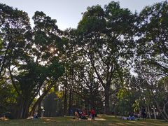 -人民公园(罗湖区)