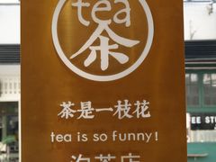 -茶是一枝花泡茶店