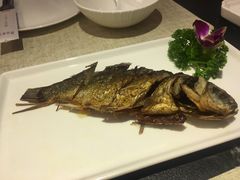 葱香鲫鱼-楚禾宴·家宴(光谷大道店)