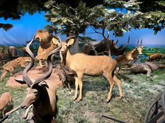 -国家自然博物馆