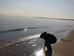 -金梦海湾浴场