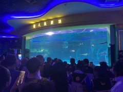 -西双版纳原始森林公园