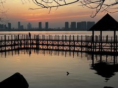 -瑶湖郊野森林公园