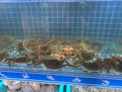 水产区-蟹将军·松叶蟹和牛日料放题自助(K11店)