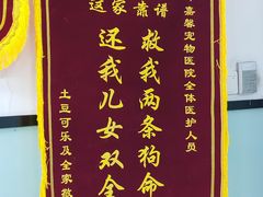 -嘉馨宠物医院·CT影像转诊·心脏科·犬猫全科诊疗中心(下沙大学城院区)