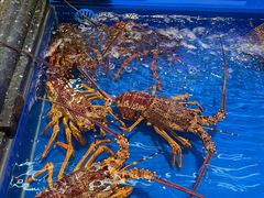 -万宝海鲜舫(劳动公园店)