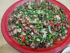 -东吴霸王兔(松青路店)