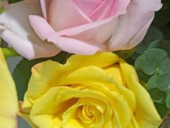 -醉得意(武大店)