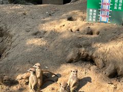 -宁波野生动物园