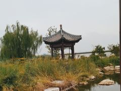 -水西公园