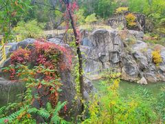 -云岫谷游猎自然风景区