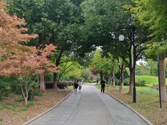 -相门城墙文化休闲景区