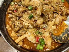-蛙喔牛蛙(百联南方店)