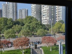 -大拙里·精致融合菜(沙湖桃源国际店)