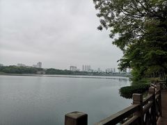 -南宁南湖公园