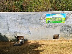 -西霞口神雕山野生动物世界