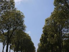 -上海鲜花港