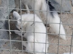 -北戴河集发农业梦想王国