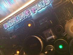 -Darling Queen·Mini·Live·House