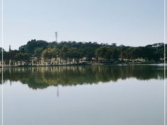-东莞植物园