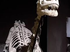 -世界恐龙谷景区