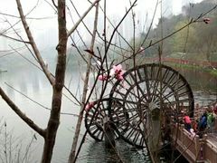 -重庆彩云湖湿地公园