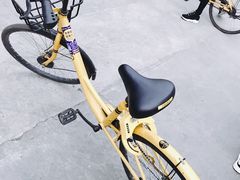 -四川大学(华西校区)