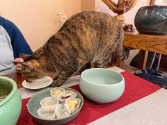 -龙华素斋(龙华路店)