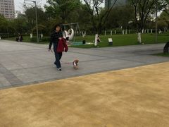 -映月湖中央公园