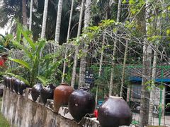 -红色娘子军纪念园