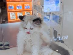 -万达广场(南宁青秀店)