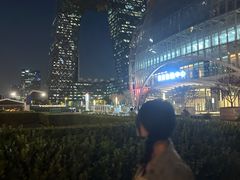 -中央广播电视总台(光华路办公区)